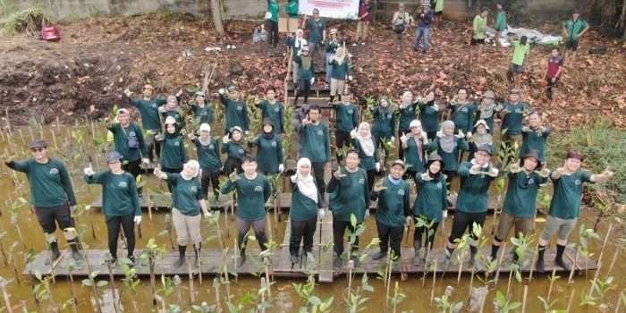 Sekitar 50 pekerja PHI mengikuti kegiatan penanaman 500 bibit mangrove Rhizopora di Ekowisata Mangrove Pantai Indah Kapuk (PIK), Jakarta, pada 15 Juni 2024. Foto: HO/PHI