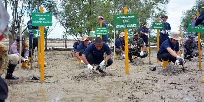 PT Pertamina EP (PEP) Bunyu Field lakukan penanaman mangrove di sekitar wilayah operasi Perusahaan di Pulau Bunyu dengan sistem pembibitan Artificial Mangrove Tide. Foto: HO/PEP Bunyu Field