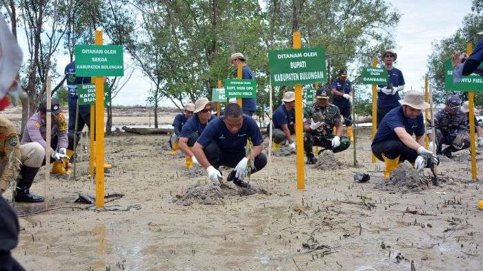 PT Pertamina EP (PEP) Bunyu Field lakukan penanaman mangrove di sekitar wilayah operasi Perusahaan di Pulau Bunyu dengan sistem pembibitan Artificial Mangrove Tide. Foto: HO/PEP Bunyu Field