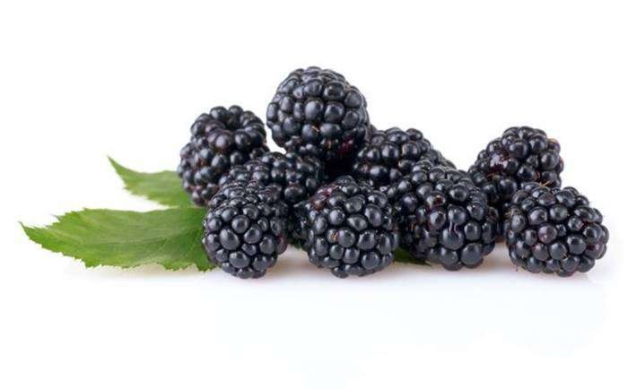 BlackBerry . Foto: Freepict