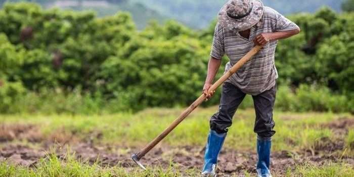 Harta Karun Wonoboyo: Penemuan Emas 16 Kg yang Menguak Kekayaan Jawa Kuno