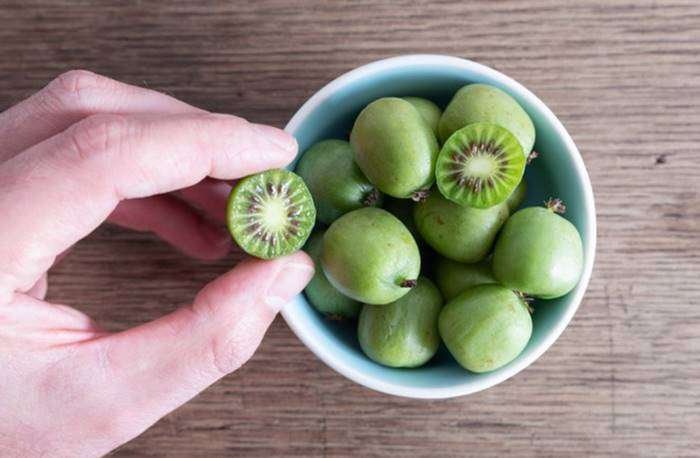 Kiwi. Foto: Freepict