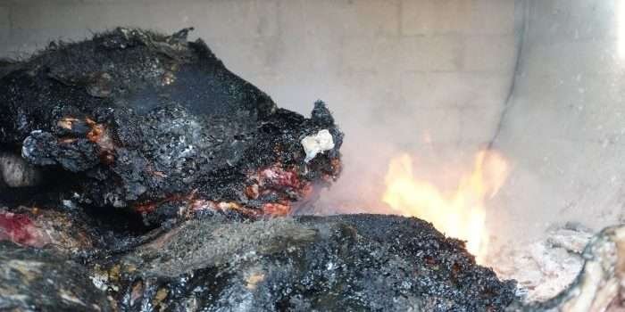 Karantina Kaltim Berhasil Lakukan Penahanan 578 Kilogram Daging Babi di Pelabuhan Laut Kariangau 