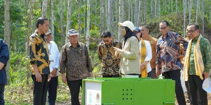 Otorita IKN Gandeng UGM dan KLHK Hijaukan Nusantara Lewat Pencanangan Wanagama Nusantara