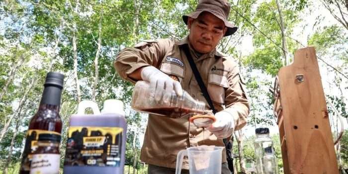 PEP Sangatta Field membantu kelompok tani membenahi sistem budidaya lebah kelulut di konservasi Taman Nasional (TN) Kutai, Kalimantan Timur. Foto: HO/PEP Sangatta Field