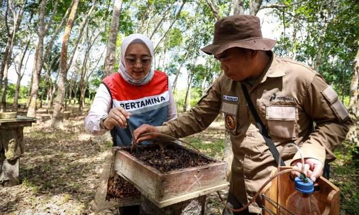 PEP Sangatta Field membantu kelompok tani membenahi sistem budidaya lebah kelulut di konservasi Taman Nasional (TN) Kutai, Kalimantan Timur. Foto: HO/PEP Sangatta Field