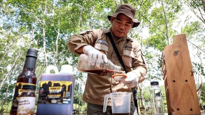 PEP Sangatta Field membantu kelompok tani membenahi sistem budidaya lebah kelulut di konservasi Taman Nasional (TN) Kutai, Kalimantan Timur. Foto: HO/PEP Sangatta Field