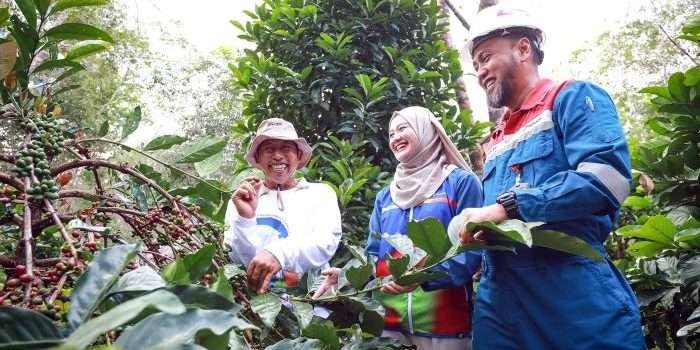 Program Kampung Kopi Luwak Desa Prangat Baru, atau disingkat Kapak Prabu, di Desa Prangat Baru, Kecamatan Marangkayu, Kabupaten Kutai Kartanegara, Kalimantan Timur. Foto: HO/PHKT