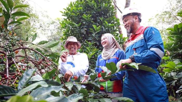 Program Kampung Kopi Luwak Desa Prangat Baru, atau disingkat Kapak Prabu, di Desa Prangat Baru, Kecamatan Marangkayu, Kabupaten Kutai Kartanegara, Kalimantan Timur. Foto: HO/PHKT