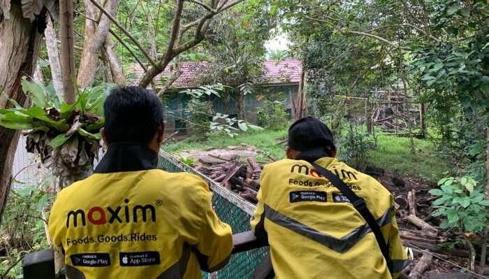 Transportasi online Maxim Memberi Makan Beruang Madu Dalam rangka menyambut World Animal Day di Balai Konservasi Beruang Madu KWPLH di Balikpapan, Kalimantan Timur. Foto: HO/Maxim