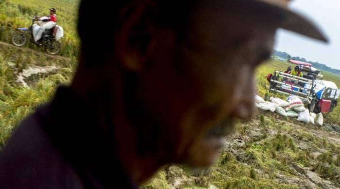 ilustrasi/Foto: ANTARA FOTO/Muhamad Ibnu Chazar