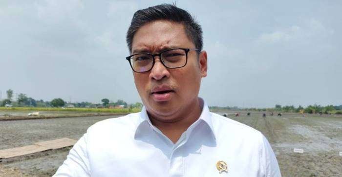 Wakil Menteri Pertanian Sudaryono (Muhammad Iqbal Al Fardi/detikJogja) Wakil Menteri Pertanian Sudaryono (Muhammad Iqbal Al Fardi/detikJogja)