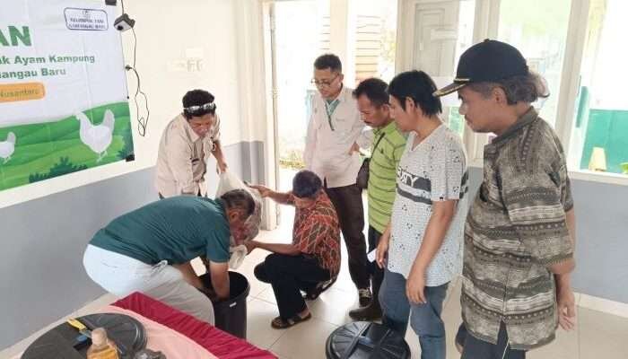 Apical melalui unit bisnisnya di Balikpapan, PT KRN memberikan pelatihan pembuatan pakan ternak, bagi UKM binaannya yakni Kelompok Ternak Kariangau Baru di Kampung Salok Baru, Kelurahan Kariangau, Kecamatan Balikpapan Barat. Foto: BorneoFlash/Ist