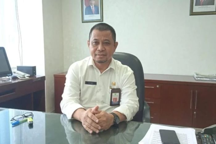 Pemprov Kaltim Buka Lowongan PPPK 2024, Ini Syarat dan 9.195 Formasi yang Dibutuhkan