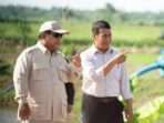 Presiden Prabowo Subianto melaksanakan kunjungan kerja perdana di Kabupaten Merauke, Ahad, 3 November 2024. Ia didampingi Menteri Pertanian Andi Amran Sulaiman meninjau lumbung pangan alias proyek food estate. Dok. Humas Kementerian Pertanian.