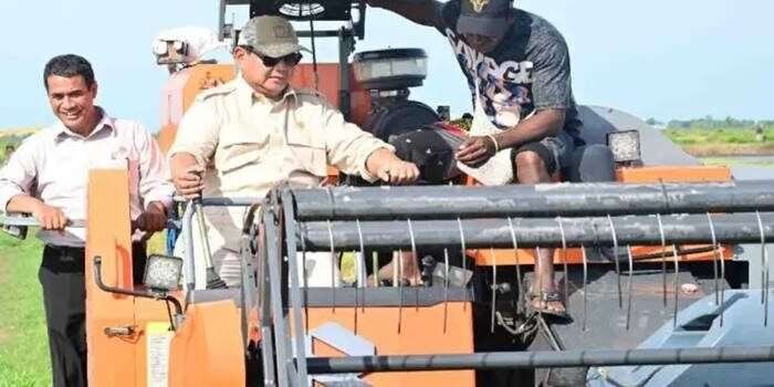 Transformasi Pertanian: Merauke Siap Jadi Lumbung Pangan Nasional