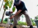Kepala Otorita IKN, M. Basuki Hadimuljono Saat penanaman pohon di Kawasan Inti Pusat Pemerintahan (KIPP) IKN, tepatnya di Miniatur Hutan Hujan Tropis Nusantara pada Kamis (12/12/2024). Foto: HO/Humas Otorita IKN