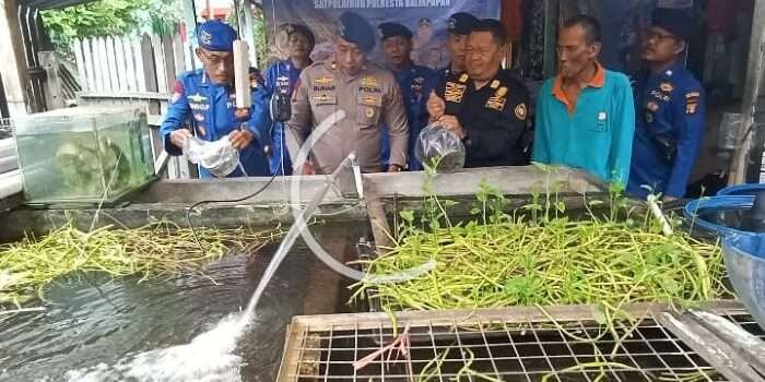Polairud Polresta Balikpapan Gelar Penyebaran Bibit Ikan Gurame dalam Program Ketahanan Pangan Pemerintah