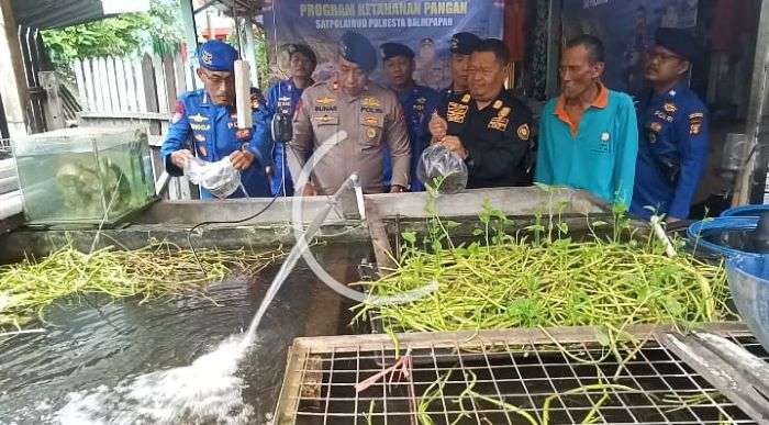 Sat Polairud Polresta Balikpapan bersama masyarakat menggelar kegiatan penyebaran bibit ikan gurame di Jalan Inpres 2, RT 18, Balikpapan Utara, pada Selasa (17/12/2024). Foto: HO/Humas Polda Kaltim