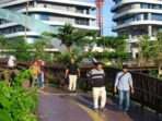 Tanaman merambat di IKN tepatnya di Plaza Seremoni sempat viral karena dinggap tumbuh liar sehingga berkesan tidak terawat. (Foto: IKN.ID)