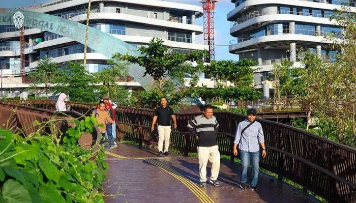 Tanaman merambat di IKN tepatnya di Plaza Seremoni sempat viral karena dinggap tumbuh liar sehingga berkesan tidak terawat. (Foto: IKN.ID)