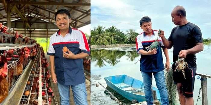 PHI Dorong Pemberdayaan Masyarakat Lewat Restorasi Mangrove dan Budidaya Ayam Petelur di Tana Tidung