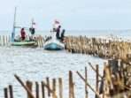 Pagar laut misterius di Tangerang akhirnya dibongkar. Foto: IST/Antara