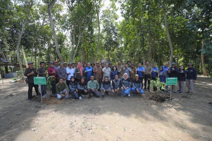 PT Pertamina Hulu Mahakam Jadi Tuan Rumah Penanaman Pohon Serentak Nasional di Balikpapan