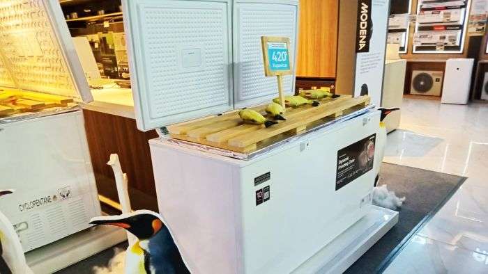 MODENA kembali meluncurkan dua produk unggulan terbaru, yaitu Chest Freezer MD 0910 TCWH dan MD 1300 TCWH. Foto: HO/MODENA