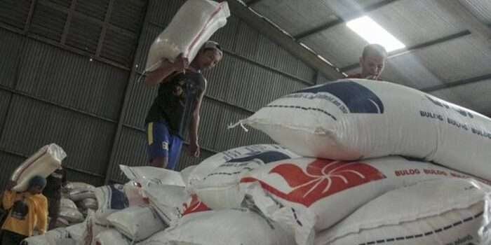 Stok Beras Tertinggi dalam Sejarah, Wakil Menteri Pertanian Pastikan Ketersediaan Pangan 2025 Terjamin