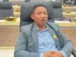 Anggota DPRD Provinsi Kaltim, Fuad Fakhruddin. Foto: BorneoFlash/Nur Ainunnisa