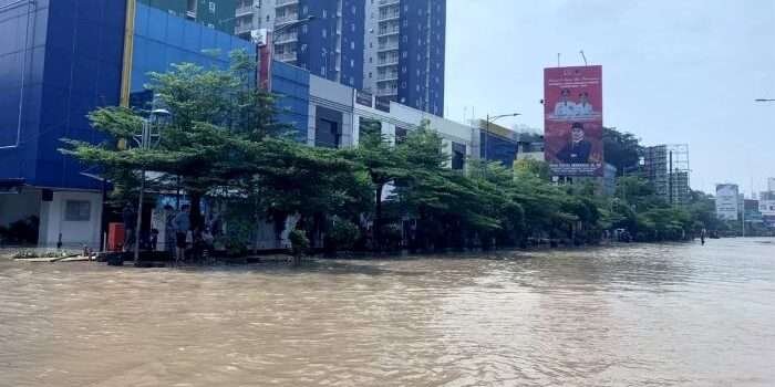 Alih Fungsi Lahan Jadi Permukiman, Penyebab Utama Banjir di Bekasi  