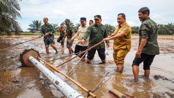 Bupati Mudyat Noor bersama jajaran Forkopimda dan perangkat daerah turut serta menebar benih padi menggunakan alat penabur benih di Desa Sebakung Jaya, Kecamatan Babulu, Jumat (25/4/2025). Foto: HO/DOKPIM SETDAKAB PPU