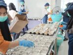 Aktivitas dapur SPPG di beberapa Kecamatan di Kabupaten Bandung, Jawa Barat, sebelum menu makanan untuk program MBG didistribusikan ke beberapa sekolah, Selasa 25/2/2025. Foto: KOMPAS.COM/M. Elgana Mubarokah