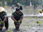CSIS menyebut pemerintah seakan terobsesi membuat terobosan kebijakanyang berisiko, padahal lebih baik menerapkan 'resep' yang sudah baku dan teruji. Ilustrasi. (Foto:Panrem 083/BDJ/Adhitya Hendra)