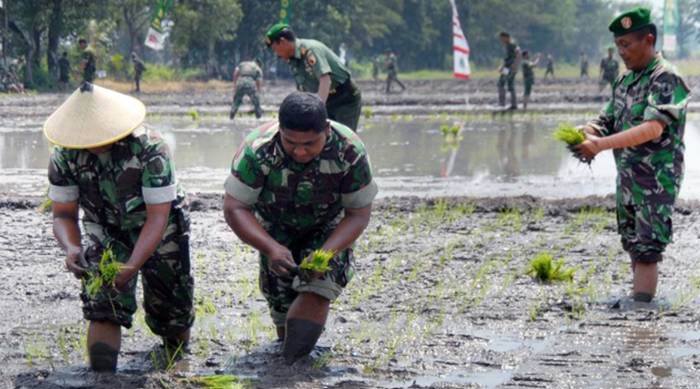 CSIS menyebut pemerintah seakan terobsesi membuat terobosan kebijakanyang berisiko, padahal lebih baik menerapkan 'resep' yang sudah baku dan teruji. Ilustrasi. (Foto:Panrem 083/BDJ/Adhitya Hendra)
