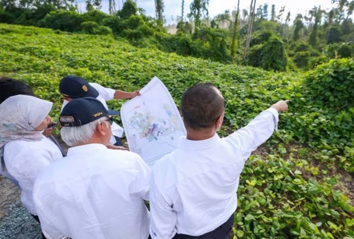 Kepala Otorita Ibu Kota Nusantara (IKN) Basuki Hadilujono beserta para deputi meninjau lahan di wilayah Perencanaan I (WP I) IKN, Kamis (10/4/2025).(Otorita IKN)