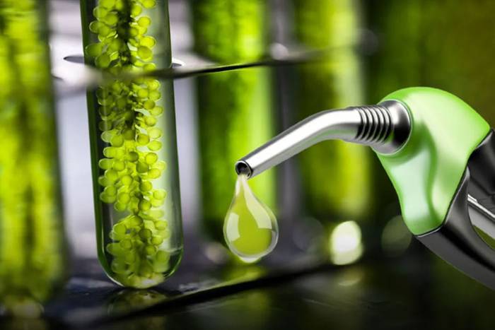 Bioetanol. Foto: Freepik