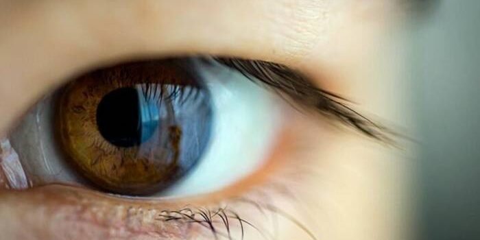 Kemenkomdigi Bekukan Izin Worldcoin dan WorldID akibat Dugaan Pelanggaran Data