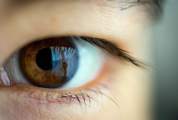 Ilustrasi pemindaian retina yang dilakukan oleh Worldcoin(freepik.com)