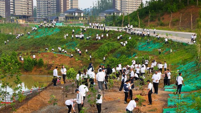 Kegiatan penanaman pohon bersama seluruh keluarga besar Otorita IKN di Kawasan Inti Pusat Pemerintahan (KIPP), Selasa pagi (6/5/2025). Foto: HO/Humas Otorita IKN