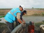 Petugas PLN bersama salah satu petani menyalakan pompa air bertenaga listrik untuk mengairi sawah di lahan percontohan Kawasan Food Estate di Kampung Telaga Sari, Merauke. (DOK. Humas PLN )