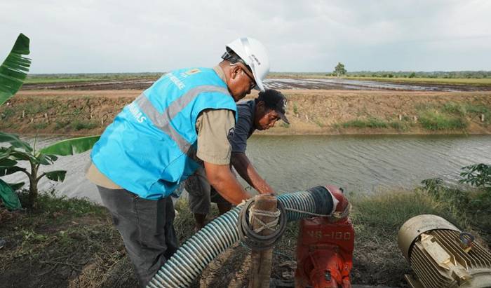 Petugas PLN bersama salah satu petani menyalakan pompa air bertenaga listrik untuk mengairi sawah di lahan percontohan Kawasan Food Estate di Kampung Telaga Sari, Merauke. (DOK. Humas PLN )
