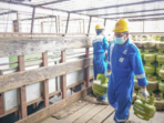 Ilustrasi.Foto: (Foto: Istimewa/Pertamina)