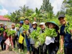 Healing di IKN merupakan inisiatif kolektif dari Adinda Alya Salsabila dan Arif Ridwan Mas, dua Aparatur Sipil Negara (ASN) Otorita IKN yang telah menetap di IKN sejak Maret 2025. Foto: HO/Otorita IKN