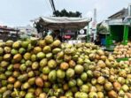 Kelapa. Foto: Grandyos Zafna
