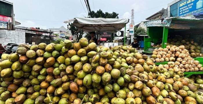 Kelapa. Foto: Grandyos Zafna
