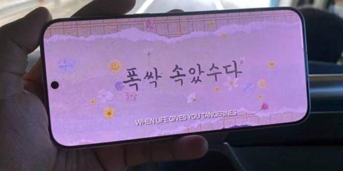 ilustrasi. Foto : Novina Putri Bestari