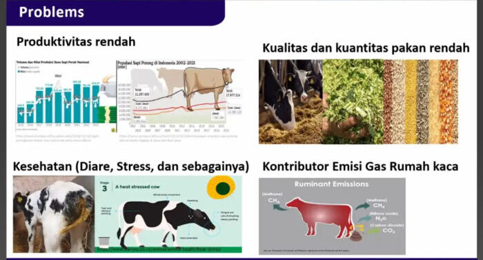 Badan Riset dan Inovasi Nasional (BRIN), terus menunjukkan komitmennya dalam menghadapi tantangan nutrisi ternak, dalamkegiatan Applied Zoology Summer School Series #5 yang digelar Selasa (18/6). Foto: HO/BRIN
