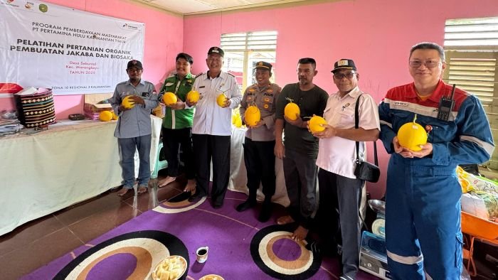 CSR PT Pertamina Hulu Kalimantan Timur (PHKT) mencatatkan pencapaian penting dengan diselenggarakannya Panen Raya Melon Golden Semi organik. Foto: HO/PHKT